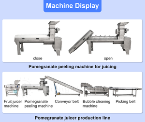 Machine à éplucher et à séparer les arils de grenade, prix abordable, certifiée CE - Product Image 4