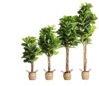 กองทัพสีเขียว