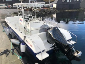 8.50m sợi thủy tinh niềm vui Tốc độ nhanh thuyền trung tâm giao diện điều khiển câu cá phà để bán - Product Image 4