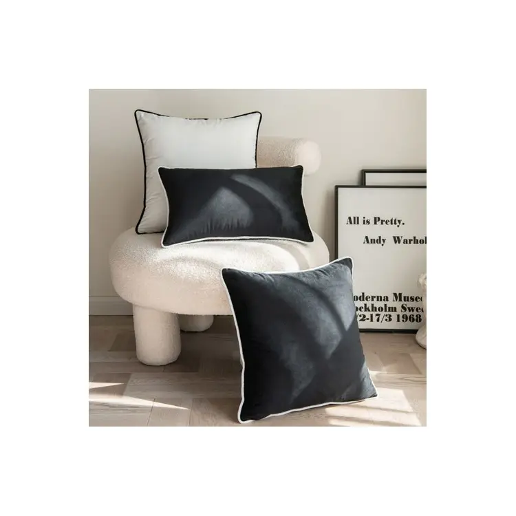 18 X 18 Inch 45 X 45 Cm Wholesale Custom Sofa Throw Luxury Pillowcases Pillow Velvet Cushion Cover Case