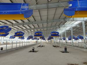 Ventilateur d'extraction industriel électrique de 72 pouces avec roulement à billes, débit d'air de 70 500 CFM pour la ventilation du bétail et le refroidissement des bovins, en stock aux États-Unis - Product Image 3