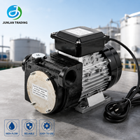 Pompe à impulsion électrique portable 220 V AC 100 L/min pour la distribution de kérosène dans les distributeurs de carburant électriques