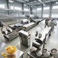 Productielijn voor aardappelchips met kleine capaciteit, 200 kg/uur, semi-automatisch, voor lokale snackbedrijven, machine van premium kwaliteit