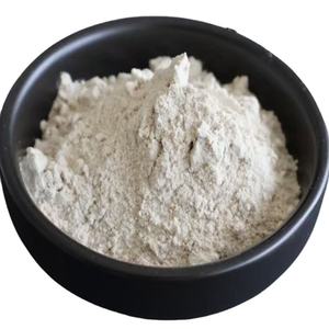 Doğal Psyllium Özü, Toplu Psyllium kabuğu Tozu - Product Image 1