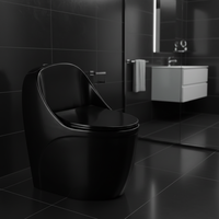 WC monobloc noir moderne de luxe en céramique à double chasse, à fermeture lente, à poser au sol, pour hôtels et hôpitaux, siphon en S