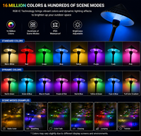 Lumières LED RGB à pixels pour Noël et Halloween, programmables, basse tension, étanches, pour extérieur, jardin, paysage, éclairage décoratif