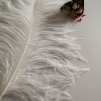 Nouvelles plumes d'autruche blanches teintes originales en gros, 60-65 cm, pour robe de cocktail de luxe, décoration de mariage à domicile, fabrication de bricolage