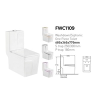 WC en céramique monobloc populaire, cuvette de toilette en porcelaine pour salle de bain