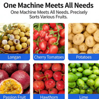 Appel Perzik Granaatappel Mandarijn Sinaasappel Avocado Peer Fruit Sorteer- en Classificeermachine