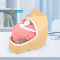Simulador de entrenamiento artroscópico humano para ciencias médicas, modelo de articulación de hombro para uso en enseñanza médica, CE/ISO