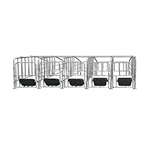 Hoge Kwaliteit Zuinige Gegalvaniseerde Varkensstal Landbouwmachines Nieuwe Dierenkooien Voor Varkens Lagere Prijs Kroeiende Krat - Product Image 6