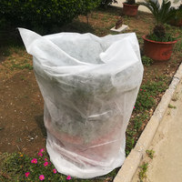 Usine BSCI, tissu non tissé en polypropylène, respirant, écologique, imperméable, fusible, paillis protecteur pour plantes contre le gel hivernal