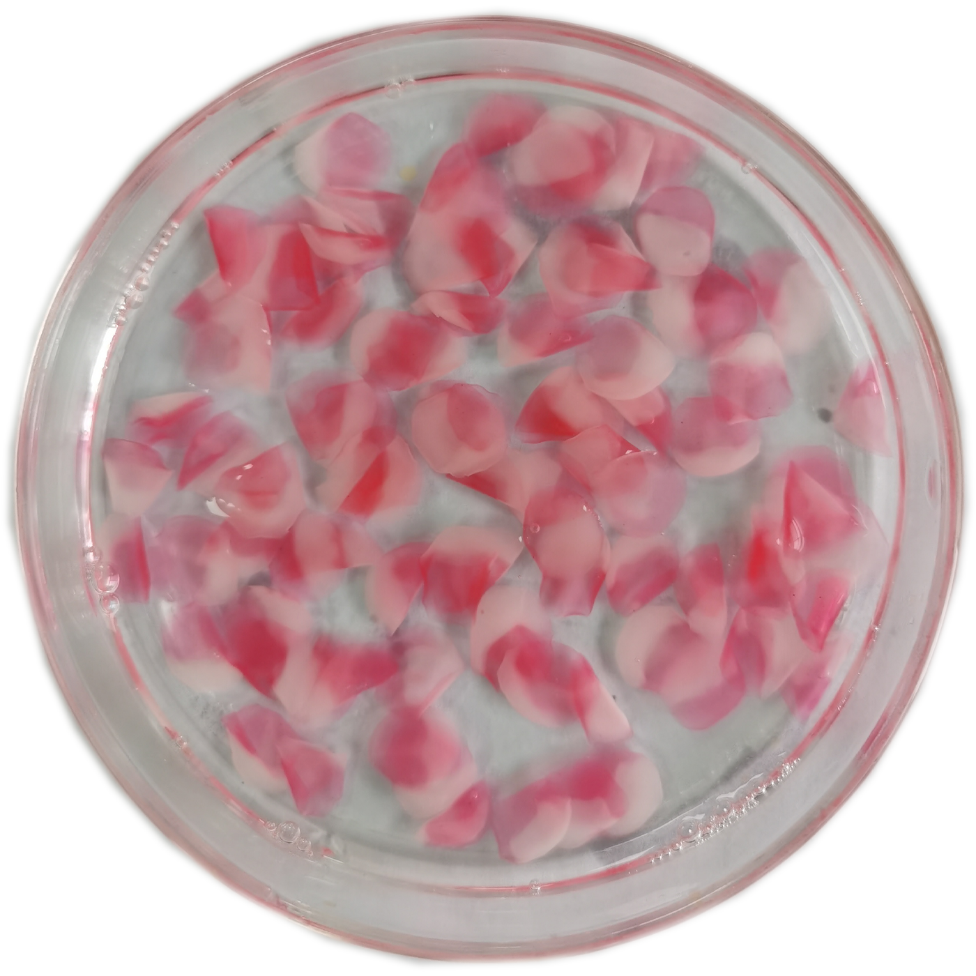 Лепестковое красное 105D04 S2