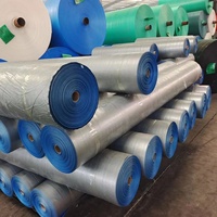 Bâche PE 100% étanche de haute qualité couverture de camion couverture de cargaison vente chaude bâches rouleau