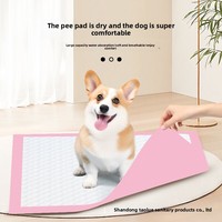 Ventes en gros de coussinets d'entraînement pour animaux de compagnie super absorbants, anti-fuites, multi-couches, séchage rapide pour chiens et chats, intérieur et extérieur