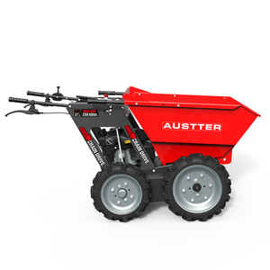 Catalogo Minidumper 4x4 con <span class=keywords><strong>Motore</strong></span> a Benzina da 5.5 CV e Capacità di Carico di 250 KG - Product Image 2