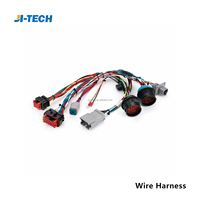 Conector de arnés hecho a medida Fabricante profesional de procesamiento de arnés de cables