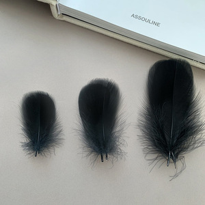 Plumes d'oie Erica 48cm 711cm 913cm Blanc Noir Artisanat Bijoux Vêtements Accessoires - Product Image 3