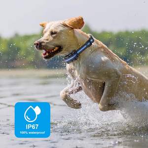 Collar de Adiestramiento para Perros Recargable e Impermeable IPX7, Control de Ladridos con Sensibilidad Ajustable y Descarga Eléctrica, Alcance de 1640 pies, Directo de Fábrica - Product Image 3