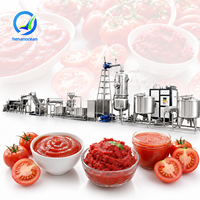 OCEAN Commerciële Geautomatiseerde Tomatenpuree Productiefabriek Kleine Schaal Complete Tomatensaus Productielijn