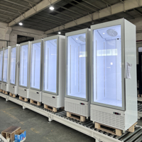 Congélateur vertical de supermarché 500L à porte vitrée, refroidissement par ventilateur, pour crème glacée et aliments surgelés