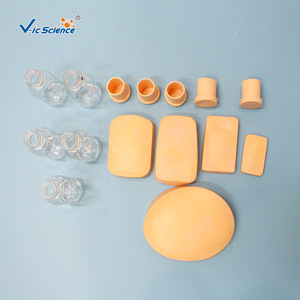 Modelo Humano de Enfermería: Simulador de Práctica de Enfermería Modular Multifuncional Educativo Vic - Product Image 2