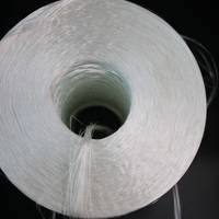Hilo de Fibra de Vidrio C-Glass 2400Tex en Rollo, con Procesamiento de Doblado para Devanado de Filamentos de Fibra de Vidrio ECR