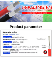 1,5mm²-10mm² 25mm² 4mm² 6mm² 16mm² XLPE-Isoliertes Solarpanel-Stromkabel Kupferleiter Einzel-PE DC Photovoltaik-PV-Verbinder