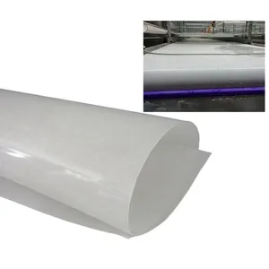 Durable Low Price Custom PP Manure Conveyor Belt For Poultry Dung