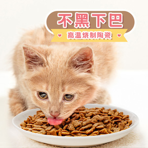 Tazón de cerámica para gatos, redondeado, antideslizante, con soporte para el cuello, para comida y golosinas para gatos - Product Image 4