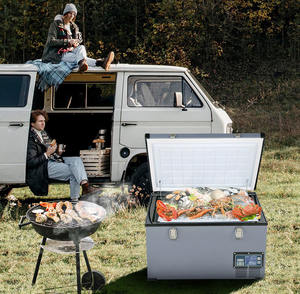 Compresseur de congélateur de <span class=keywords><strong>voiture</strong></span> 115L <span class=keywords><strong>chaud</strong></span> rapide peut être congelé réfrigérateur de <span class=keywords><strong>voiture</strong></span> 12V24V petit réfrigérateur réfrigération congélation - Product Image 1