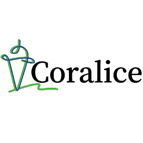 Guangzhou Coralis Network Technology Co., Ltd. logo