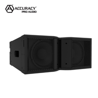 Accuracy Pro Audio LA210 Altavoz de Arreglo en Línea Pasivo Profesional Doble de 10 Pulgadas para Escenario y Conciertos, Sistema PA