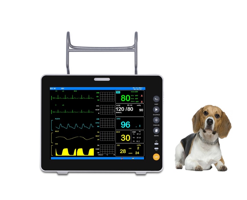 Veterinary Ultrasound Pregnancy Ultrasound Scanner for