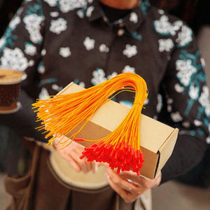 Vente en gros Allumeur électrique filaire pour feux d'artifice Télécommande sans fil Fuze Wire Firework Allumeur électronique Matière plastique - Product Image 3