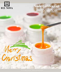 ICE NOVA Etiqueta privada Precio competitivo Extensión de <span class=keywords><strong>uñas</strong></span> de gel de color desnudo 10g 15g 30g 60g Oem Venta al por mayor Constructor Gel UV suave - Product Image 3