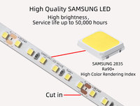 Yüksek verimlilik 2835 LED şerit ışık 12W 8mm sıcak beyaz Amber Pro SMD LM281B 120Led başına 24V 200 + LM/W depolar için