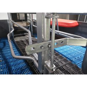 Hengyin Schwein/Schwein/Schwein/Sau Abferkel kiste/Stall/Käfig/Stift für Sauen - Product Image 3