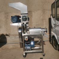 Machine à jus industrielle automatique pour l'extraction de jus de fruits, légumes, oranges, ananas, pommes, système de production