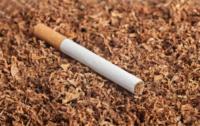 2025 Saveur Tabac Vente Chaude Marque Célèbre Arôme de Cigarette OEM Marque Privée Tabac Échantillon Gratuit