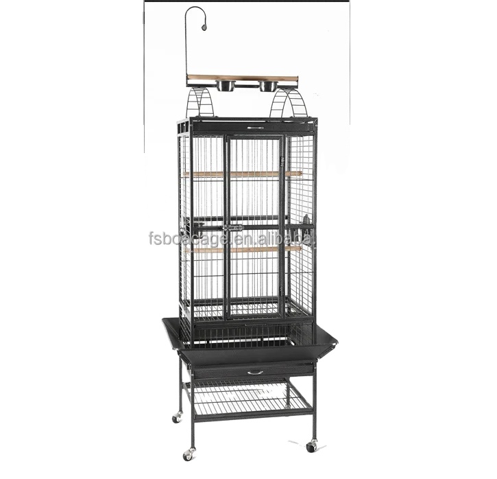 parrot cage gold