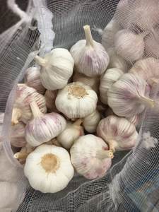 <span class=keywords><strong>Ail</strong></span> Ajo Alho Exportation d'<span class=keywords><strong>ail</strong></span> de légumes frais à un <span class=keywords><strong>prix</strong></span> de gros compétitif Chine Fournisseurs vérifiés - Product Image 4