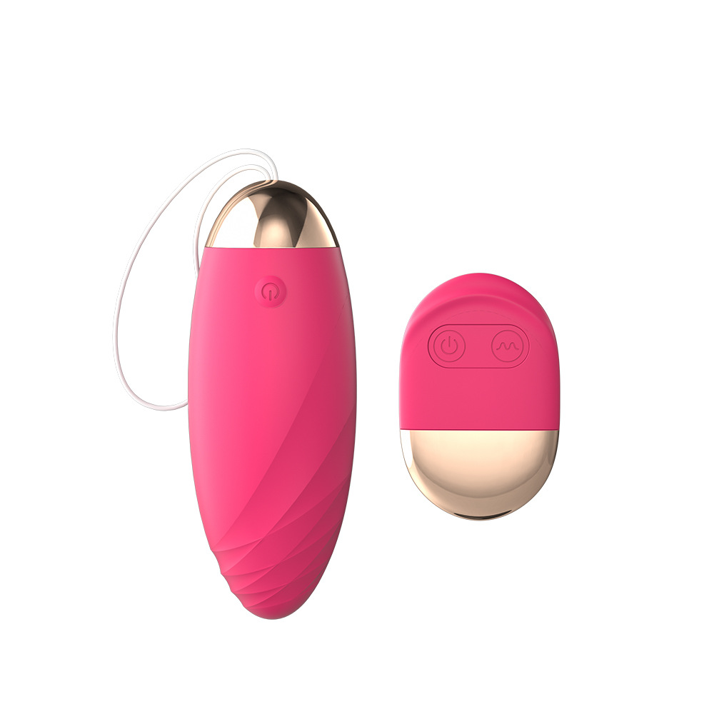 Lover Funny Wireless Remote Control Vibrating USB Recharger
