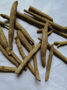 Racines <span class=keywords><strong>d</strong></span>'ashwagandha brutes indiennes de haute qualité, meilleur prix, nouvelle ashwagandha séchée pour le thé - Product Image 5