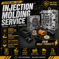 Moule d'injection plastique sur mesure de haute précision avec une tolérance de +/-0,01 mm et une durée de vie de 50 000 à 500 000 coups