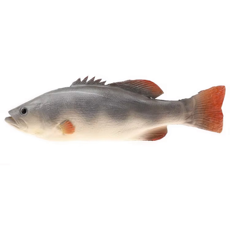 Striped bass