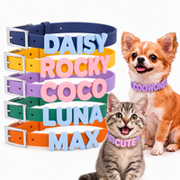 Harnais pour chien en PVC personnalisé en usine avec lettres 3D, laisse pour chien et ensemble de harnais réglable avec collier pour chien personnalisé