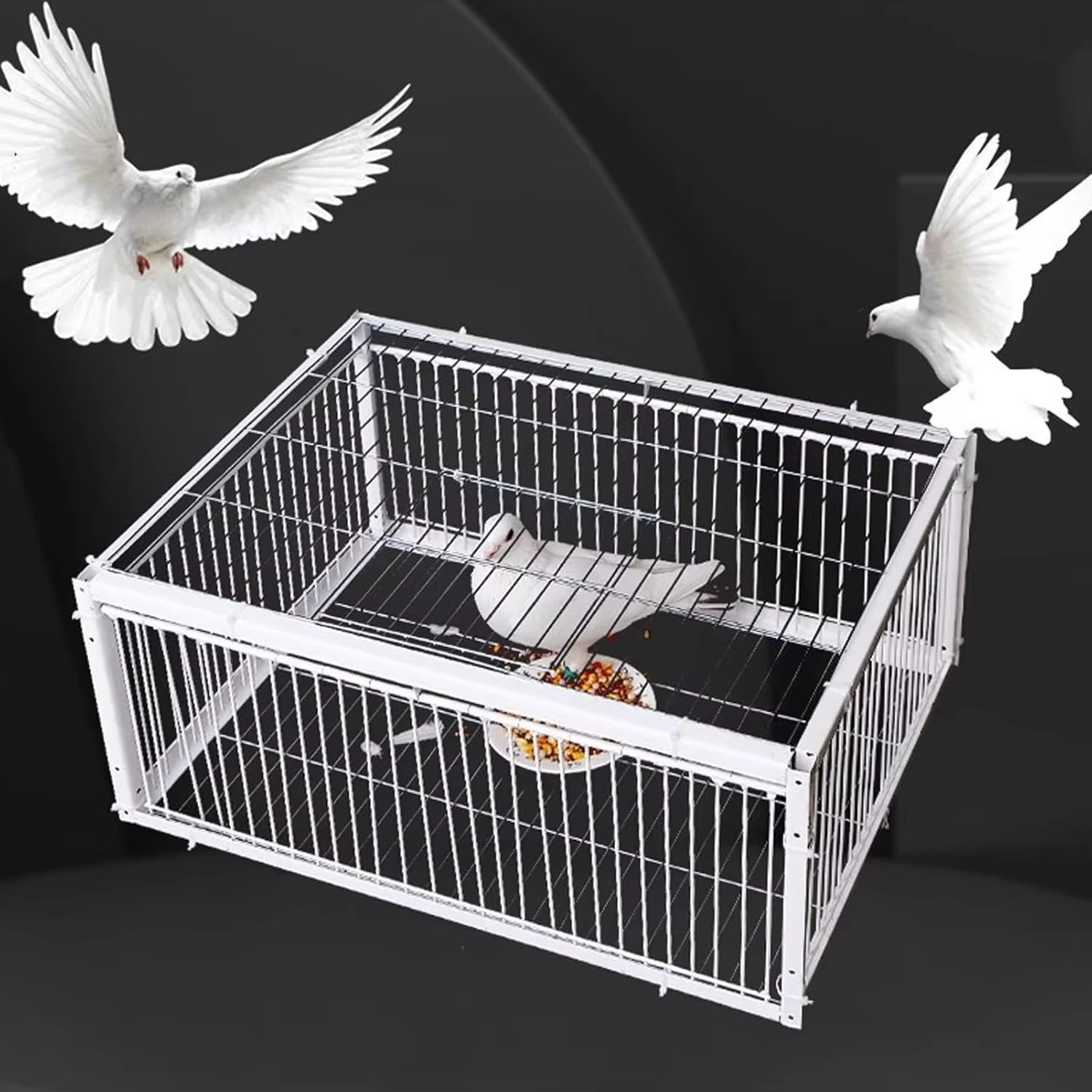 Luxury Accessories for Pigeons in 2025