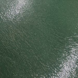 <span class=keywords><strong>Rosso</strong></span>, Verde, Grigio, <span class=keywords><strong>Nero</strong></span> <span class=keywords><strong>Tappeto</strong></span> Mostra con Pellicola di Plastica per il Corridoio di Mostra, Fiera, Eventi - Product Image 5