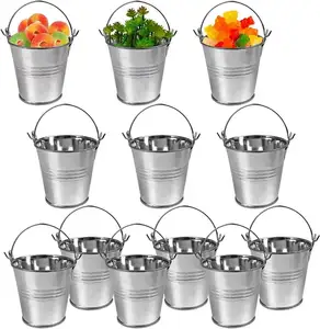 Small Metal Pail Tinplate Tin Pails Containers Silver Mini Metal Buckets for Party Favors Garden Decorations